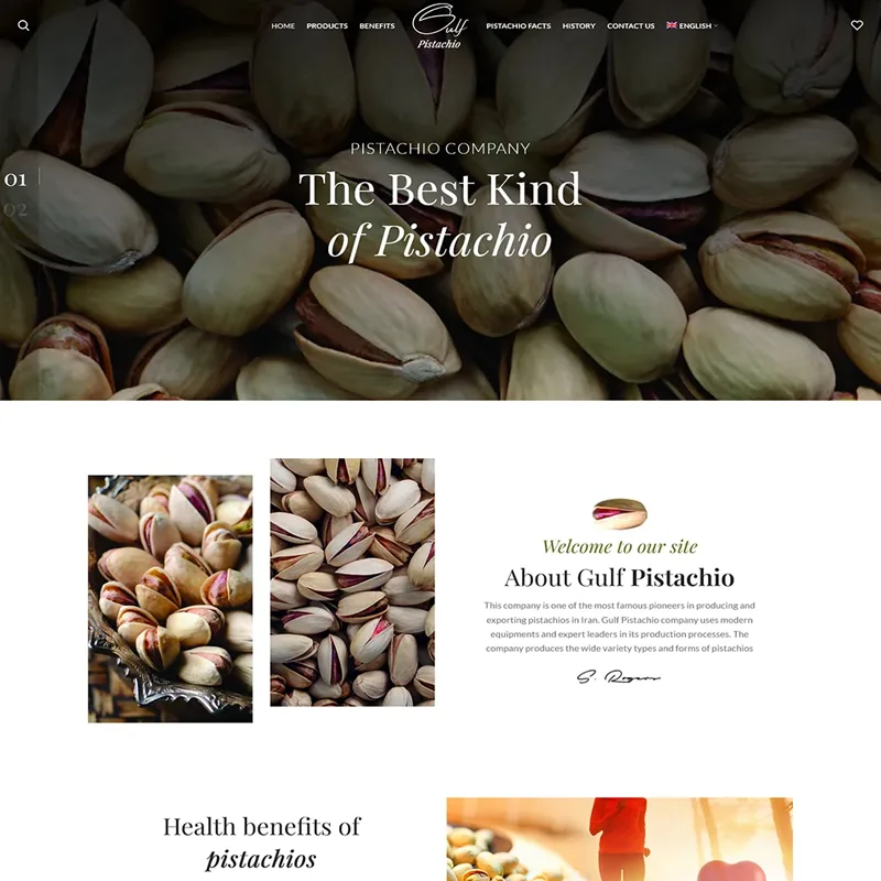 طراحی سایت پسته خلیج
